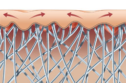 collagen remodeling south shore ma